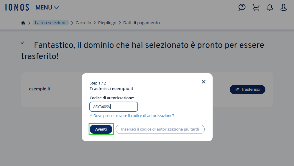Finestra di dialogo per l'inserimento del codice di autorizzazione per il trasferimento del dominio IONOS.it