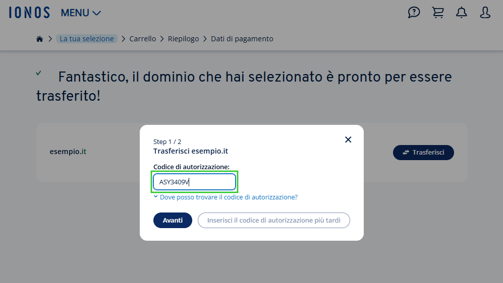 Finestra di dialogo per l'inserimento del codice di autorizzazione per il trasferimento del dominio esempio.it