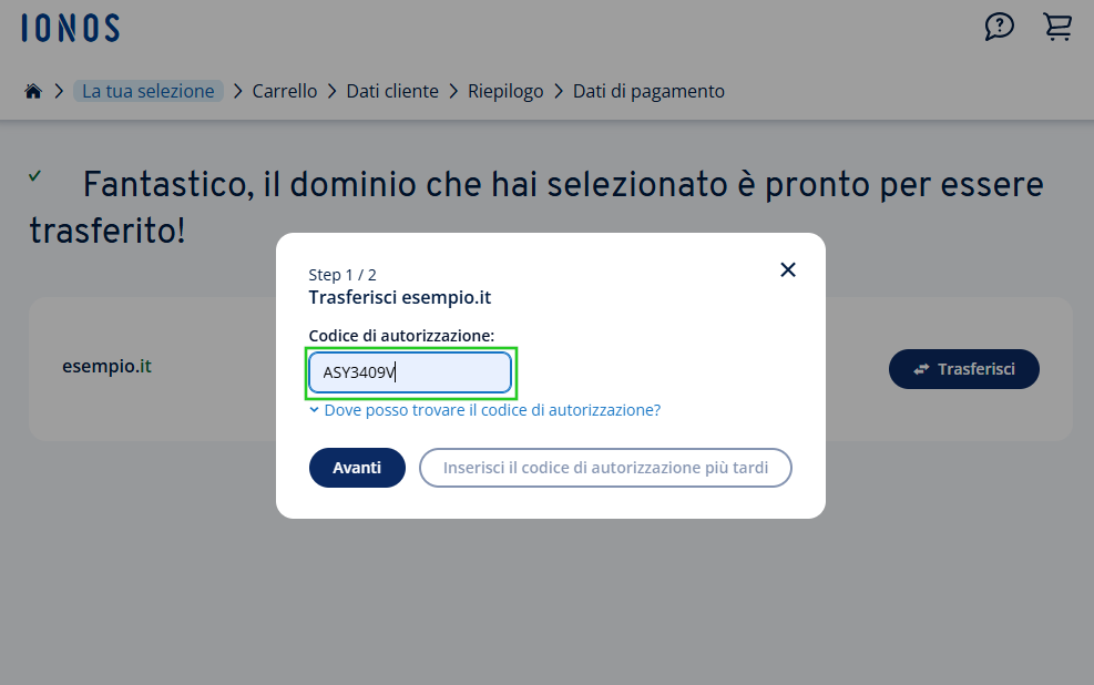 Finestra di dialogo per l'inserimento del codice di autorizzazione per il trasferimento del dominio esempio.it.