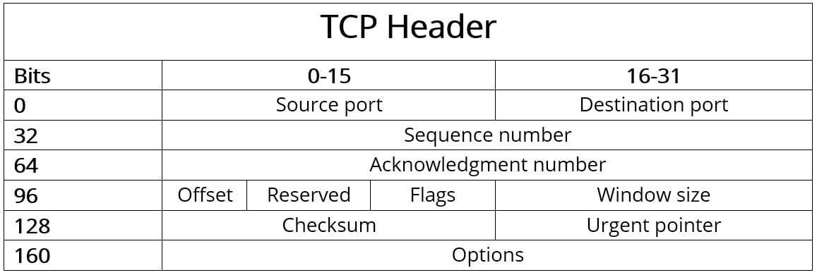 Header TCP: struttura