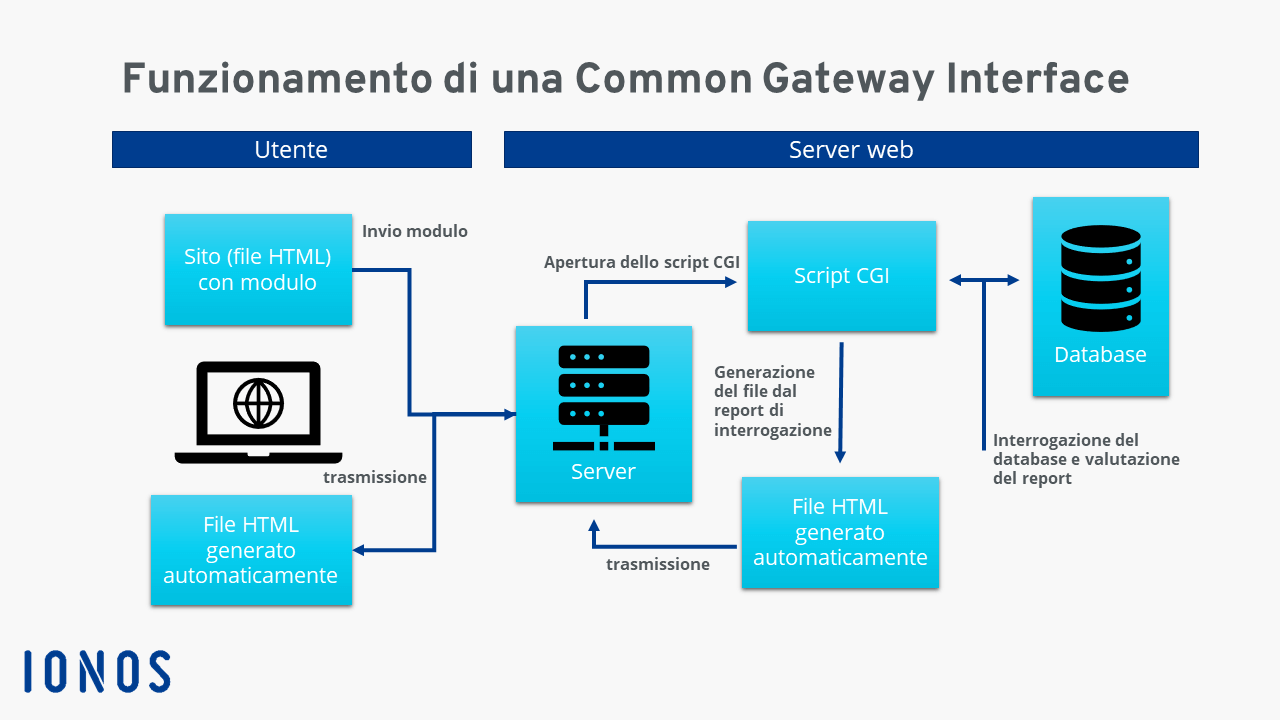 Rappresentazione del funzionamento di una Common Gateway Interface