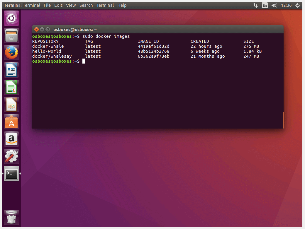 Panoramica nel terminale di Ubuntu di tutte le Image locali