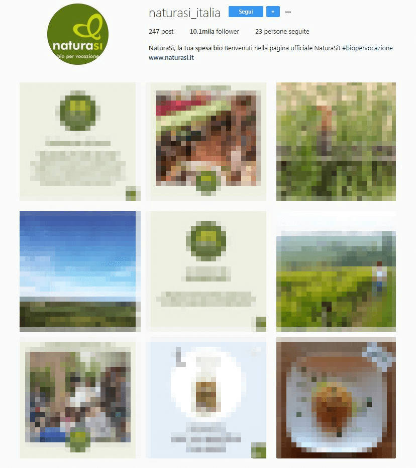 Profilo Instagram di NaturaSì nella visualizzazione dal browser