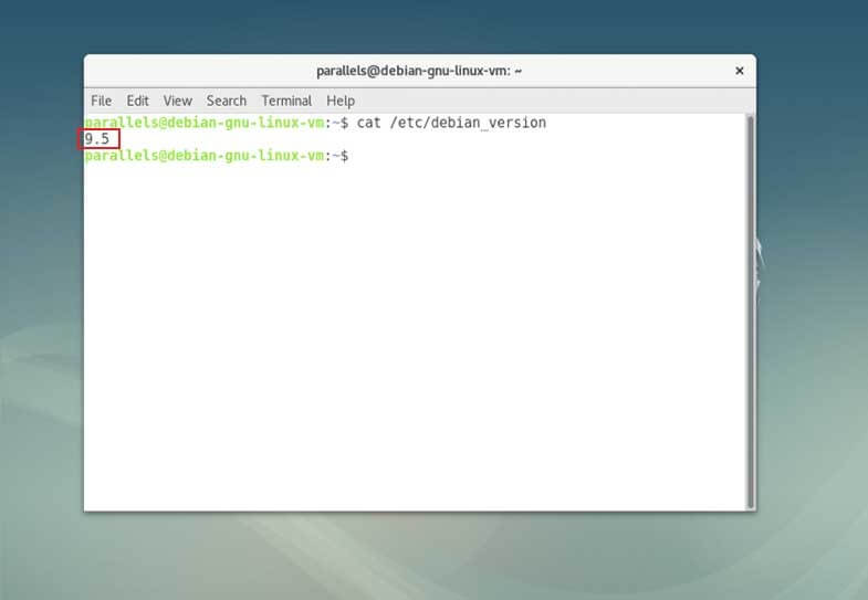 Il comando cat visualizza la versione Debian nel terminale