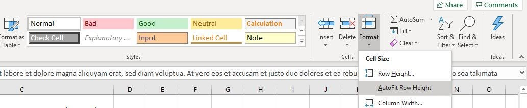 Menu di Excel “Formato” nella barra di menu “Home”