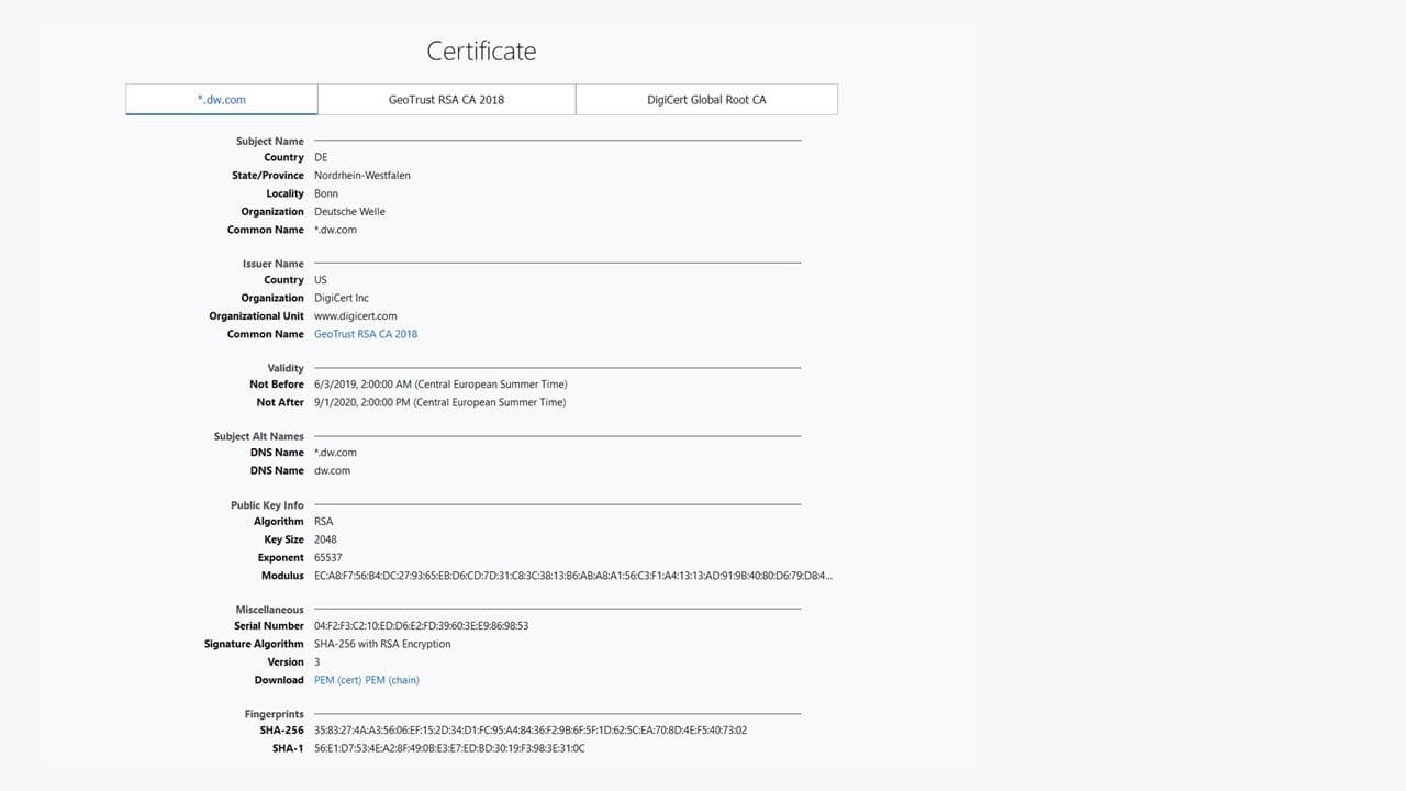 Certificato del server con valori di hash (fingerprint)