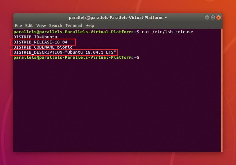 Versione di Ubuntu con comando /etc/lsb-release nel terminale