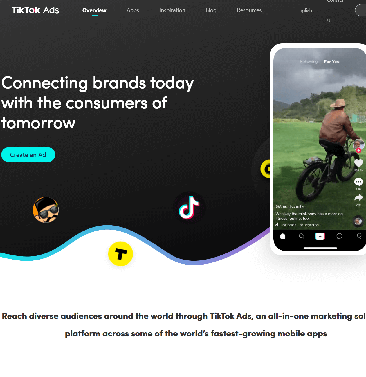 TikTok Ads, il servizio pubblicitario di TikTok