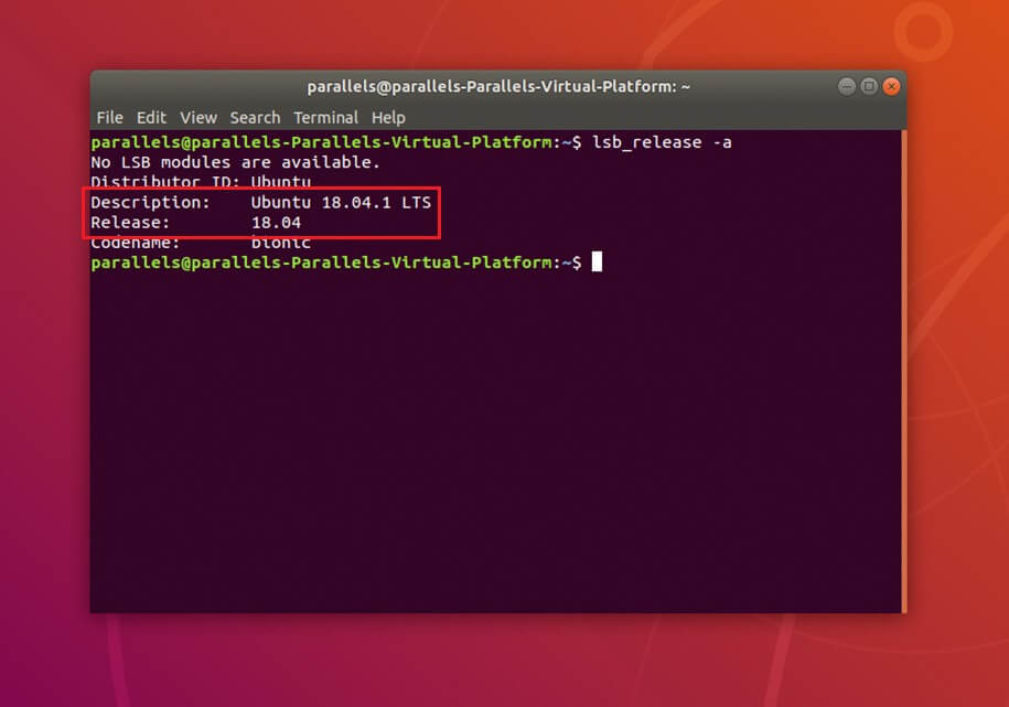 La risposta del terminale con la versione di Ubuntu