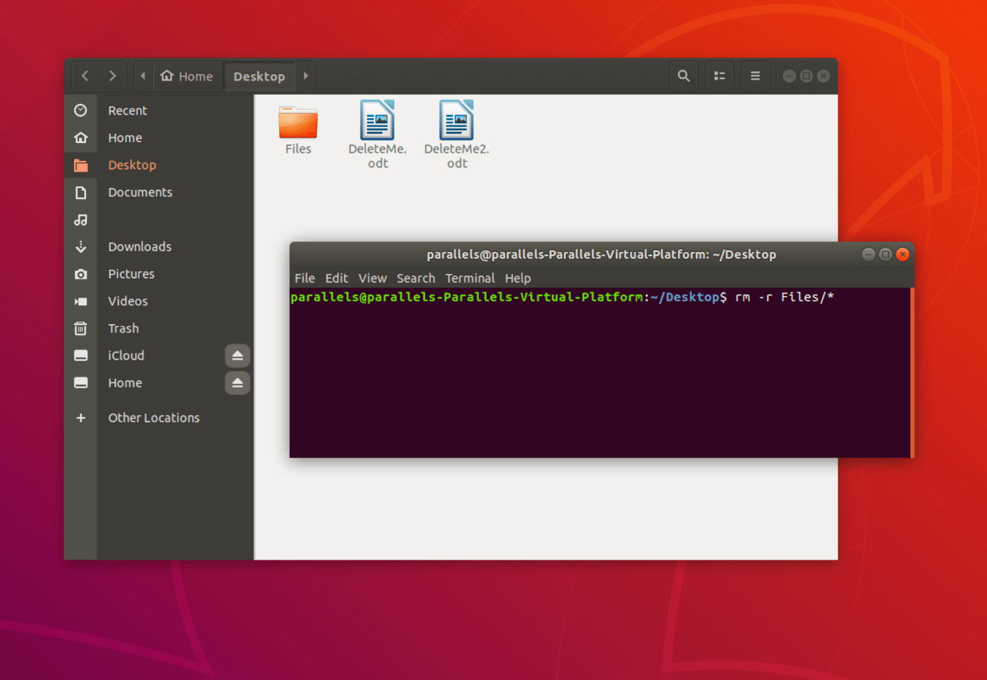 Cancellare file e sottocartelle di una cartella in Linux dal terminale