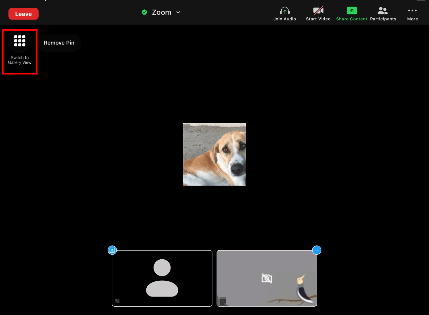 Passare alla vista galleria di Zoom dall’iPad