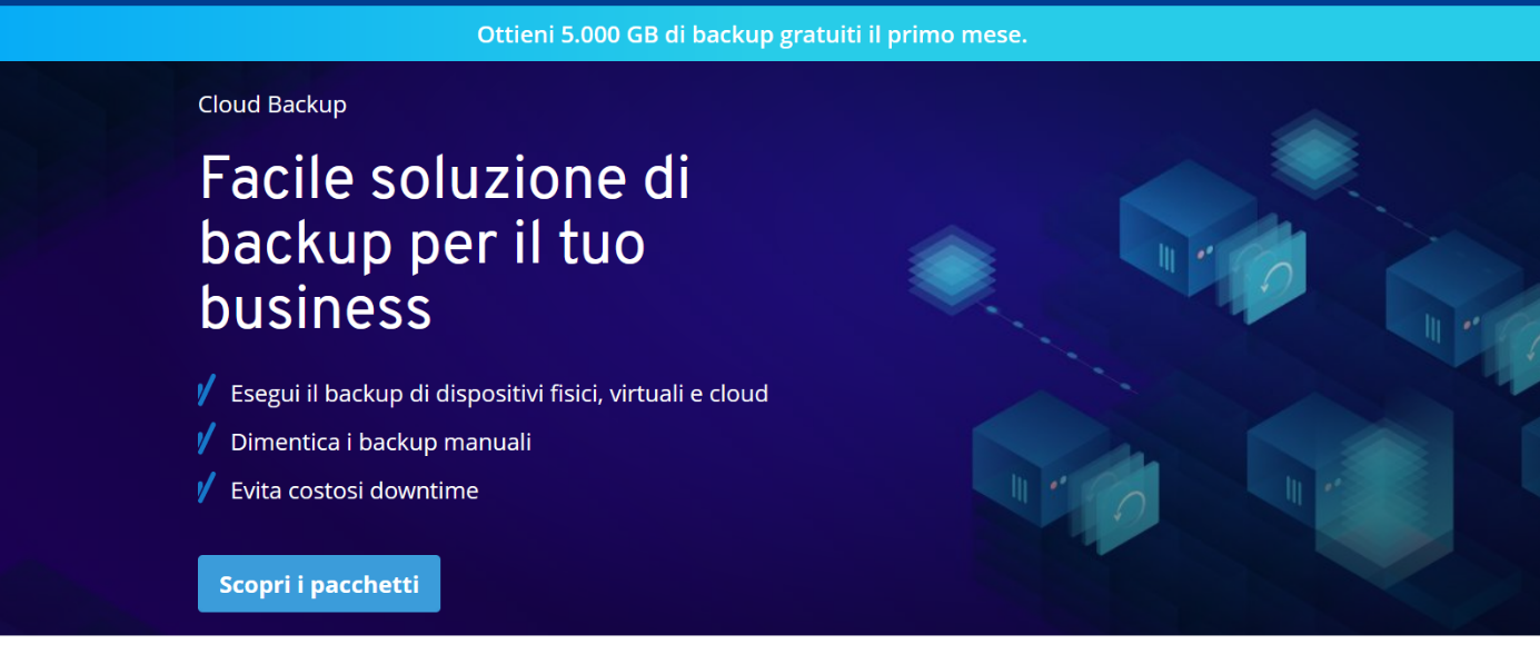 Screenshot del sito di IONOS Cloud Backup