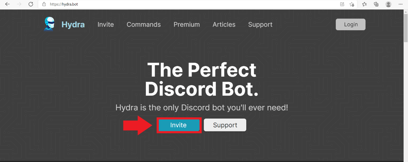 Fate clic su “Invite” per aggiungere il bot musicale al vostro server Discord