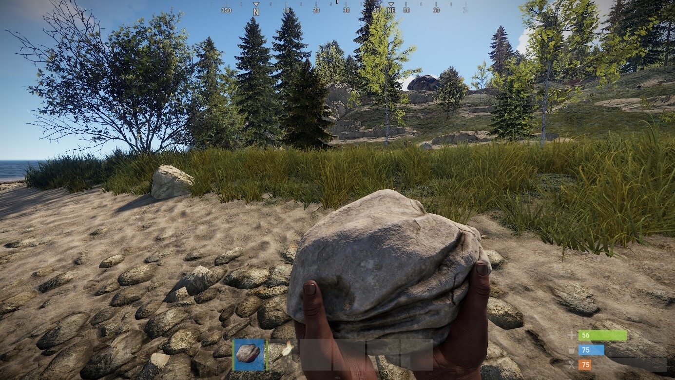 Screenshot di Rust: avvio del gioco con pietra e torcia