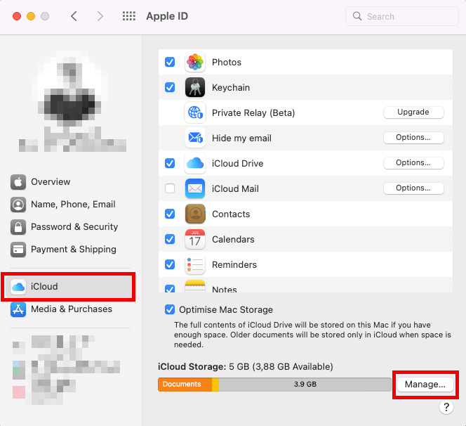 Schermata delle impostazioni di iCloud in Mac