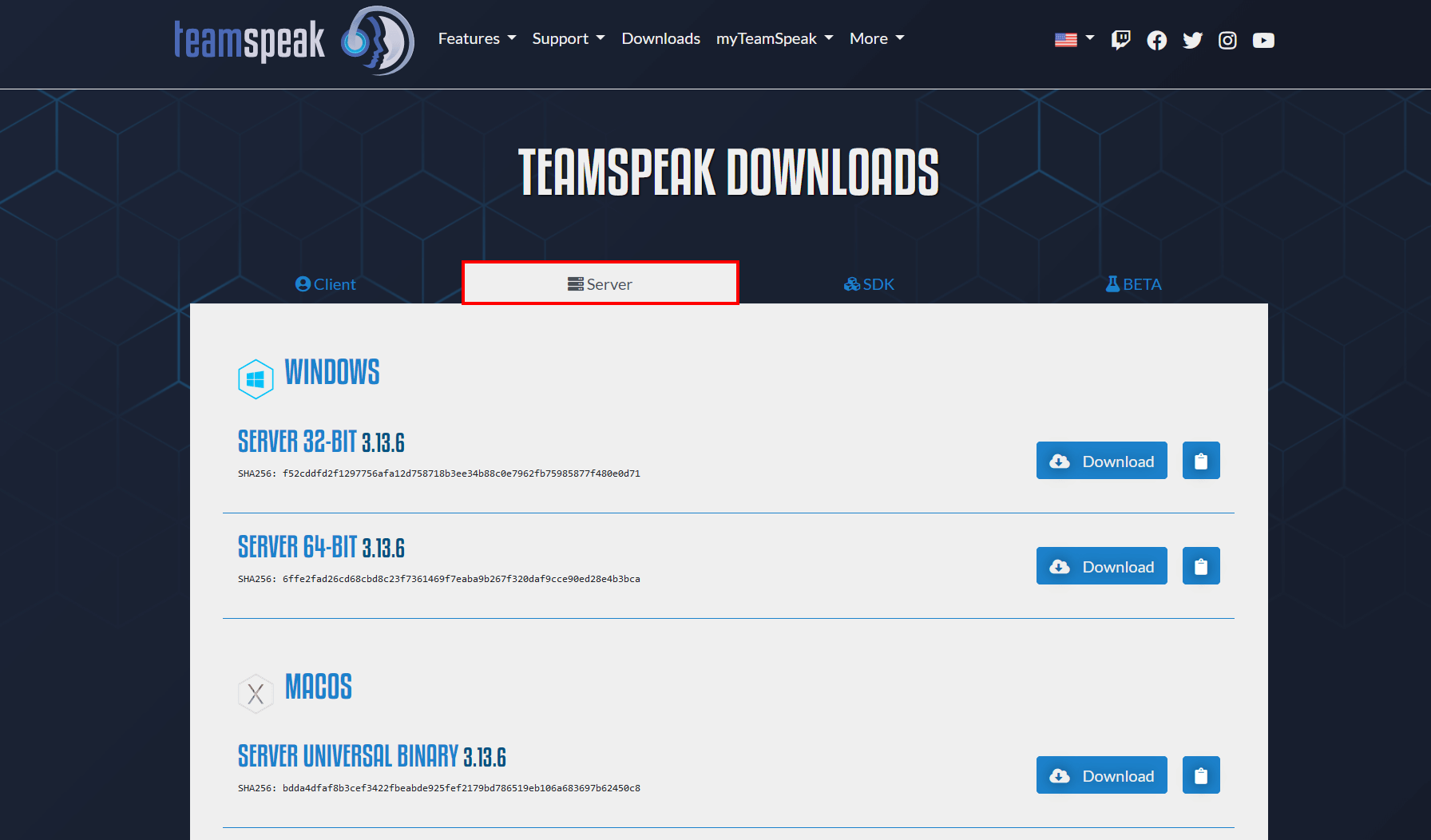 Screenshot della pagina di download di TeamSpeak