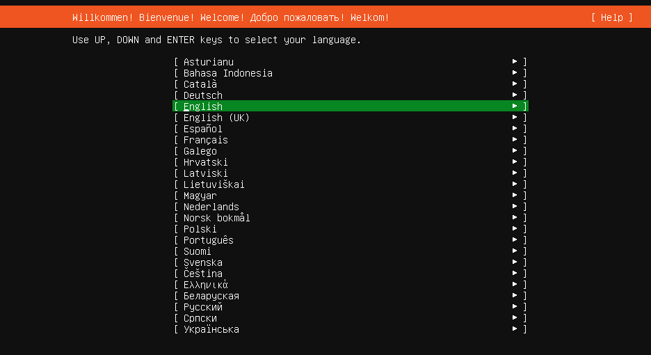 Installazione di Ubuntu Server: selezione lingua