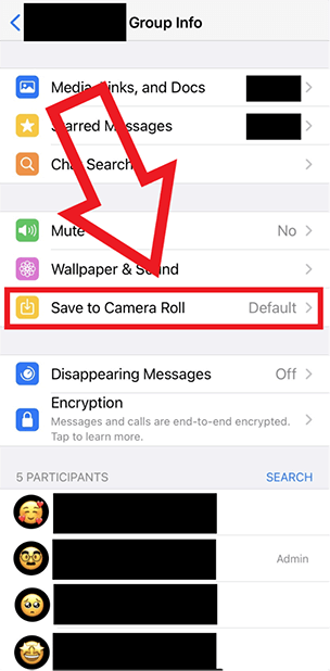 Screenshot iPhone che evidenzia l’opzione “Salva nel rullino foto” nelle info gruppo