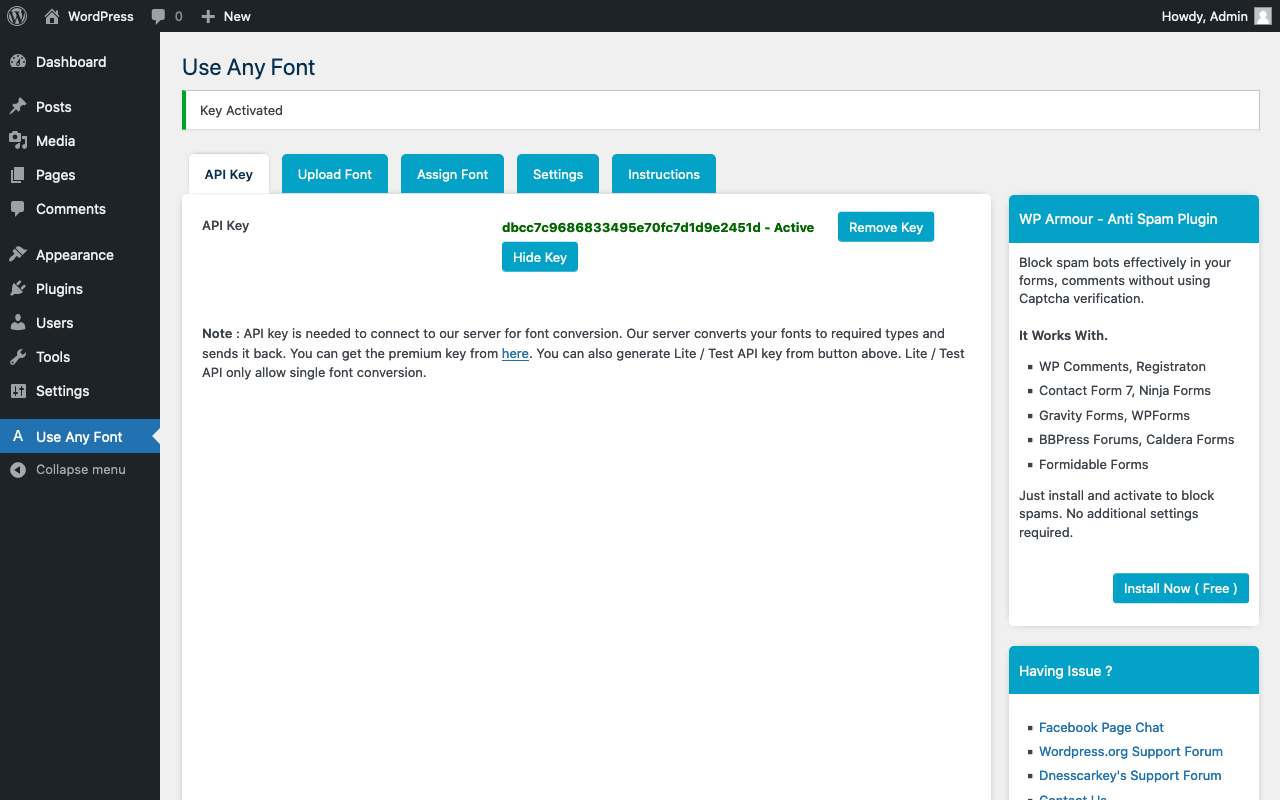 Generare una chiave API per il plugin “Use Any Font”