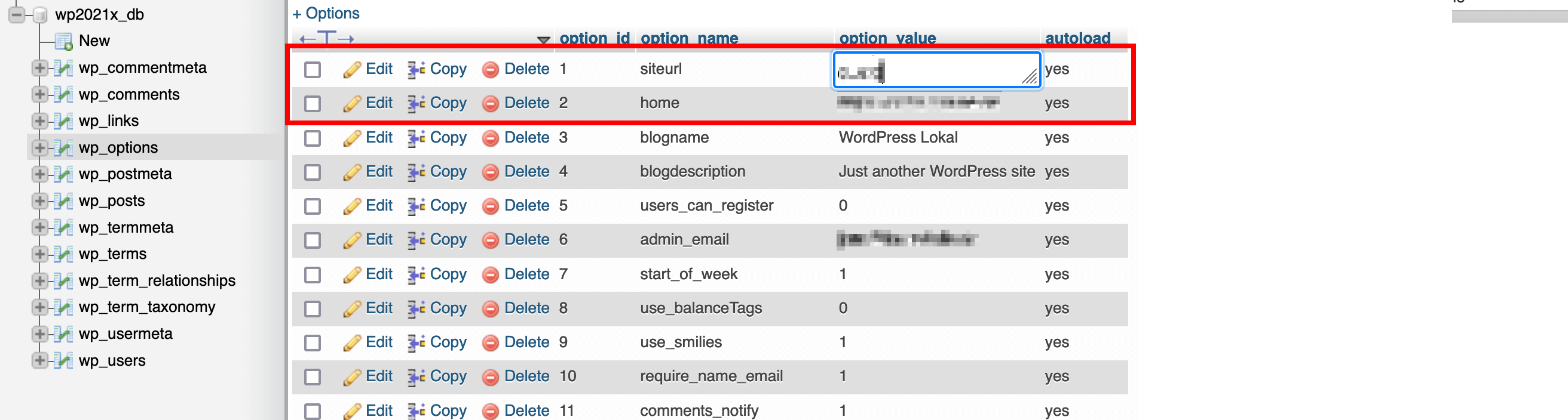 wp_options nel database di WordPress
