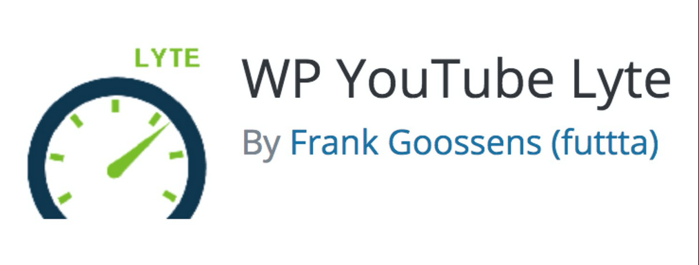 Screenshot del plugin WP YouTube Lyte