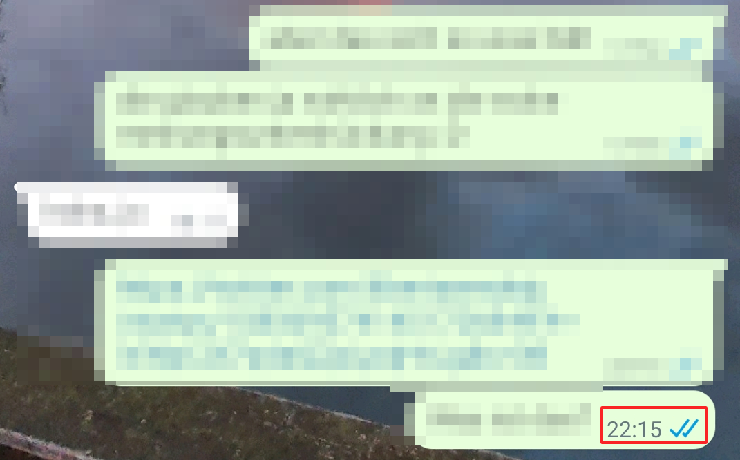 Screenshot dello stato di consegna di un messaggio su WhatsApp