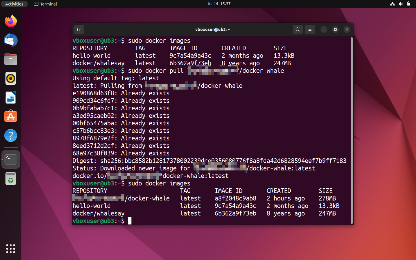Terminale di Ubuntu: download da Docker Hub