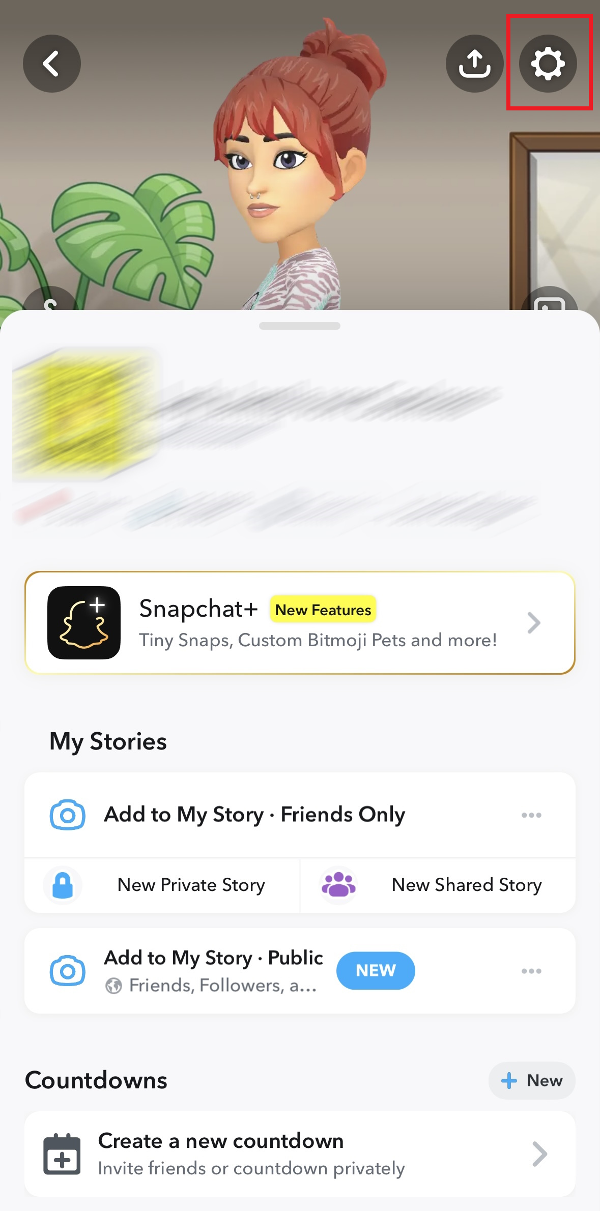 Profilo utente di Snapchat nell’app Profilo utente di Snapchat nell’app