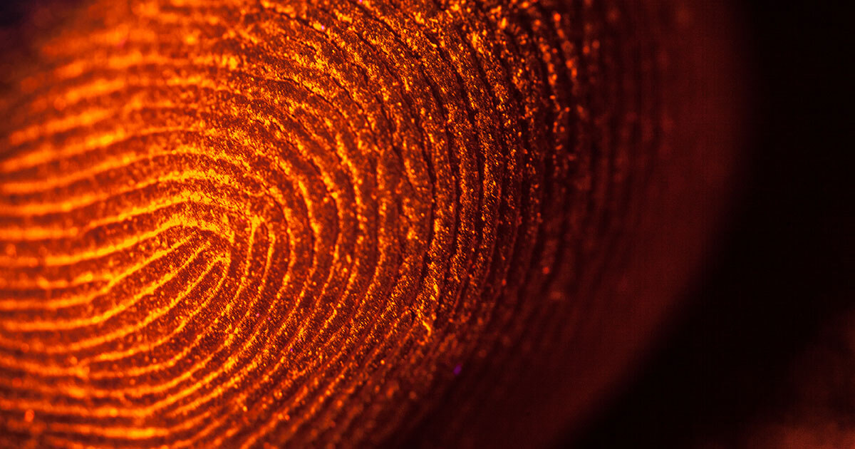 Canvas fingerprinting: cosa si nasconde dietro al successore dei cookie