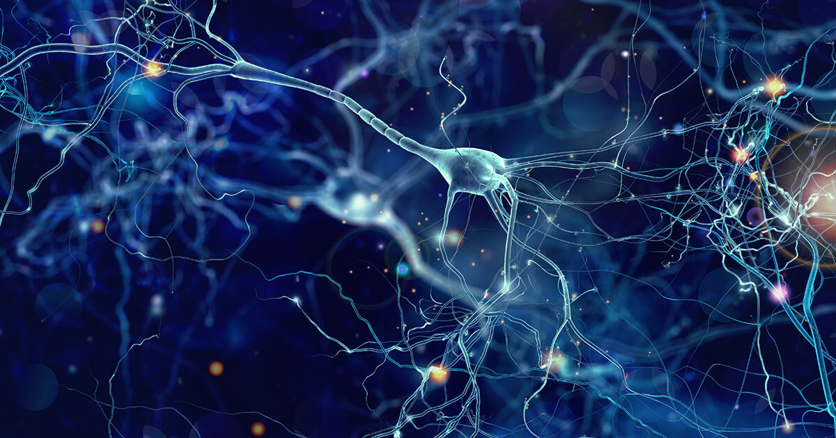 Che cos’è una rete neurale?