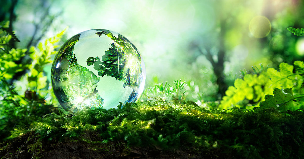 Impostare Ecosia come motore di ricerca predefinito: istruzioni Impostare Ecosia come motore di ricerca predefinito: istruzioni