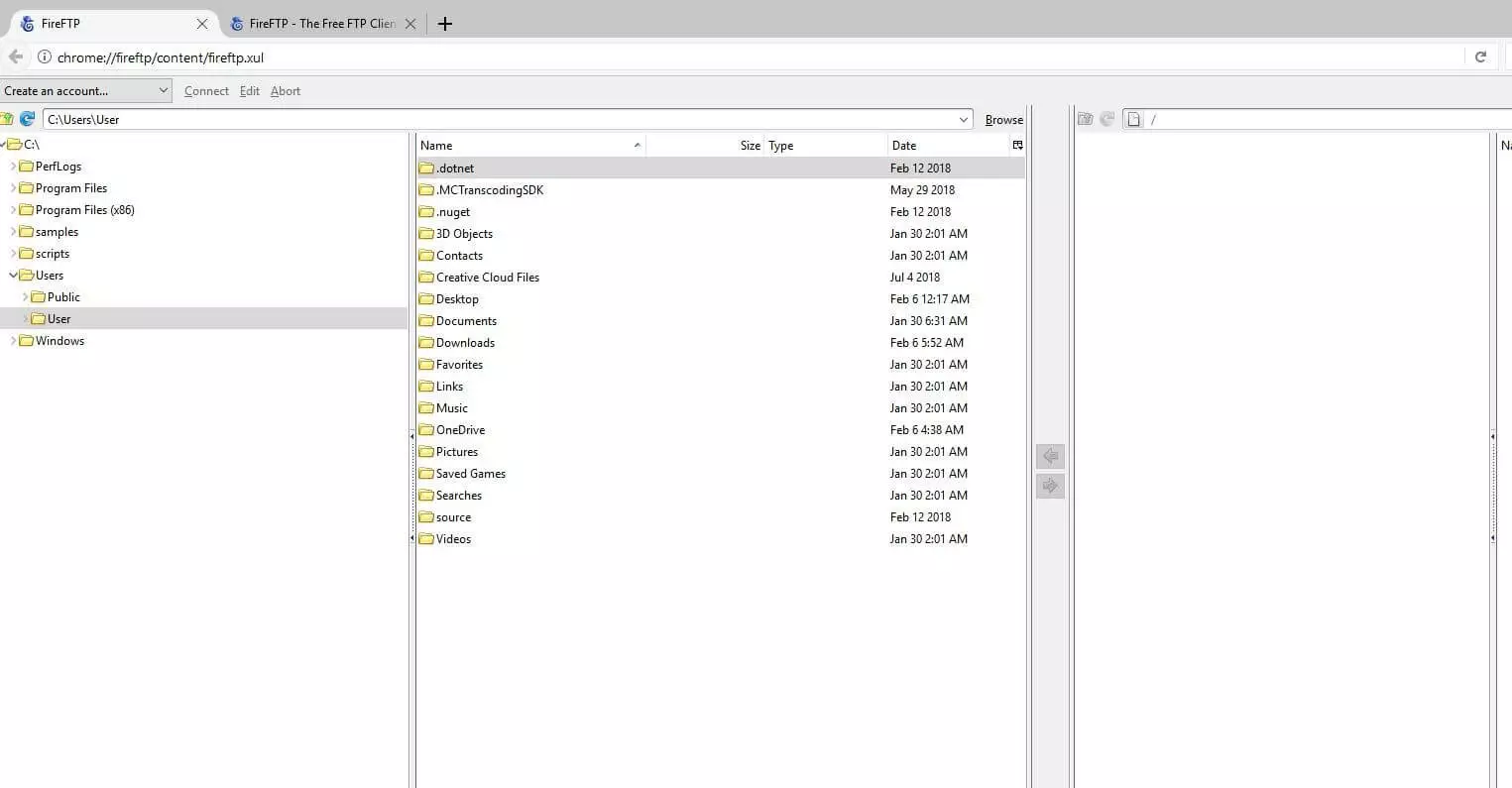 Estensione FireFTP nel browser Waterfox