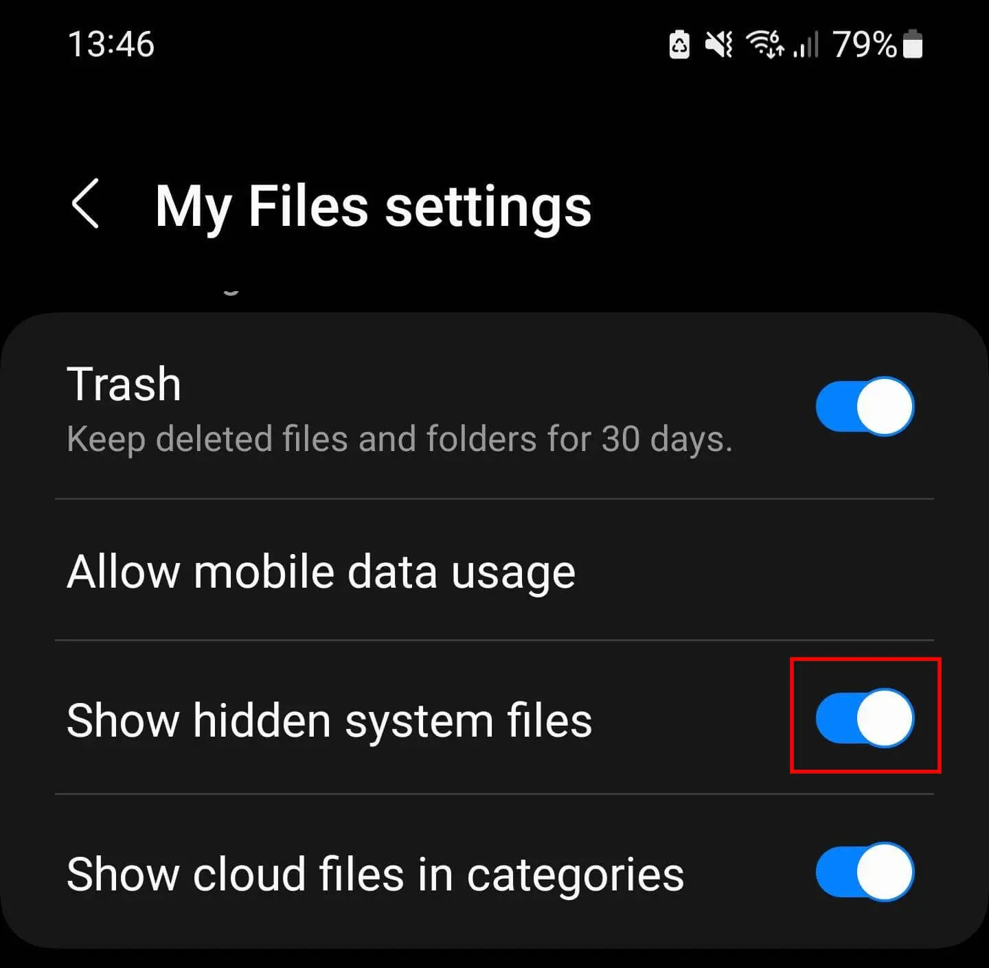 Opzione Android per mostrare file di sistema nascosti Immagine: Opzione Android per mostrare file di sistema nascosti