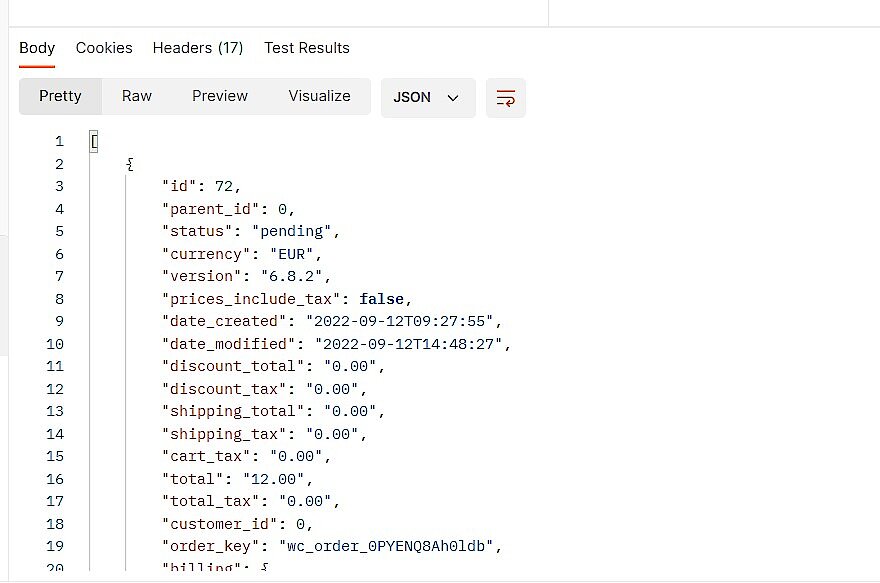 API REST WooCommerce: funzionamento e istruzioni - IONOS