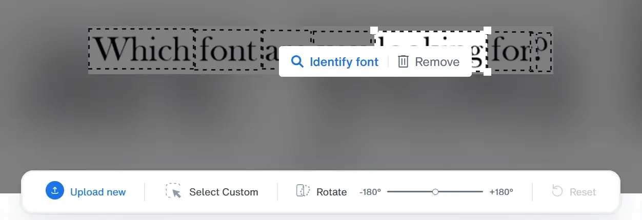Immagine: Funzione di ritaglio nell&rsquo;applicazione web