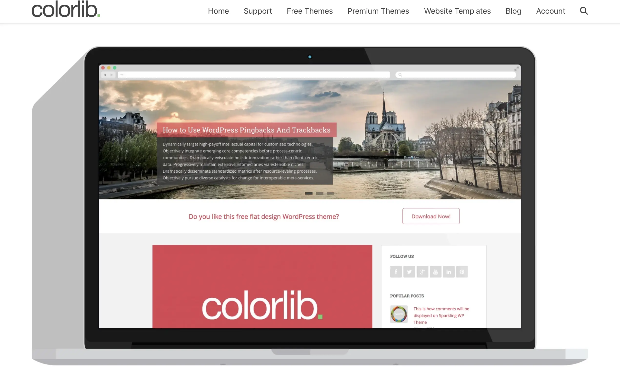 Homepage di Colorlib, sviluppatore di Sparkling Immagine: Homepage di Colorlib, sviluppatore di Sparkling