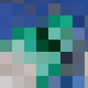 Immagine: 1° livello di visualizzazione di una foto JPG progressiva