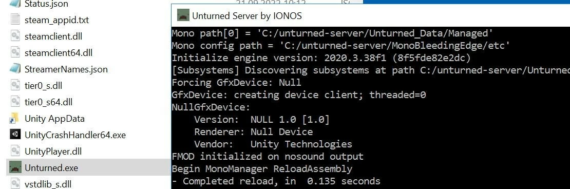Immagine: Unturned.exe e il server avviato nella finestra della riga di comando
