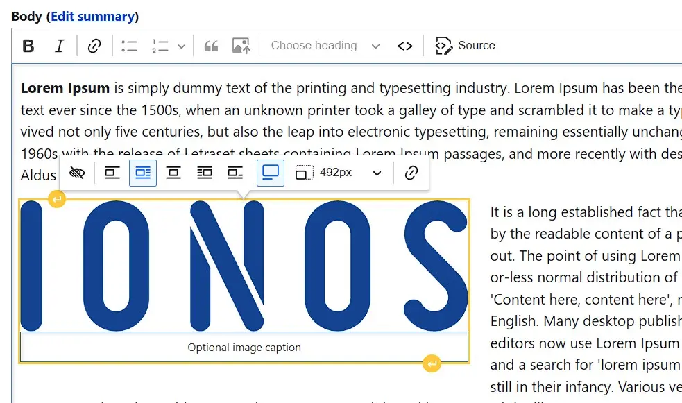 Testo Drupal con immagine inserita Immagine: Testo Drupal con immagine inserita