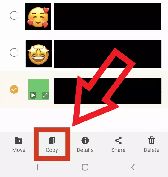 Screenshot della cartella Android “.Statuses” dopo aver selezionato il video dello stato da salvare
