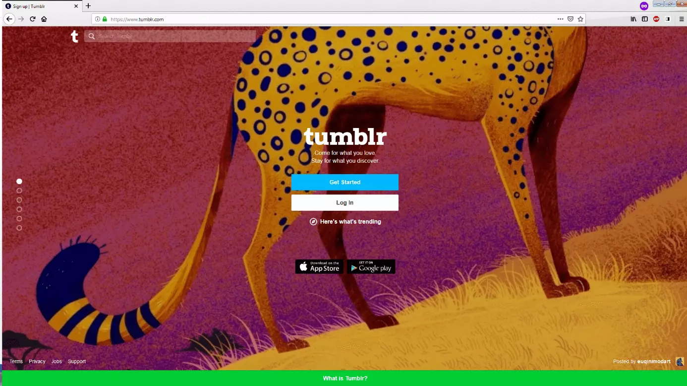 Sito web di Tumblr