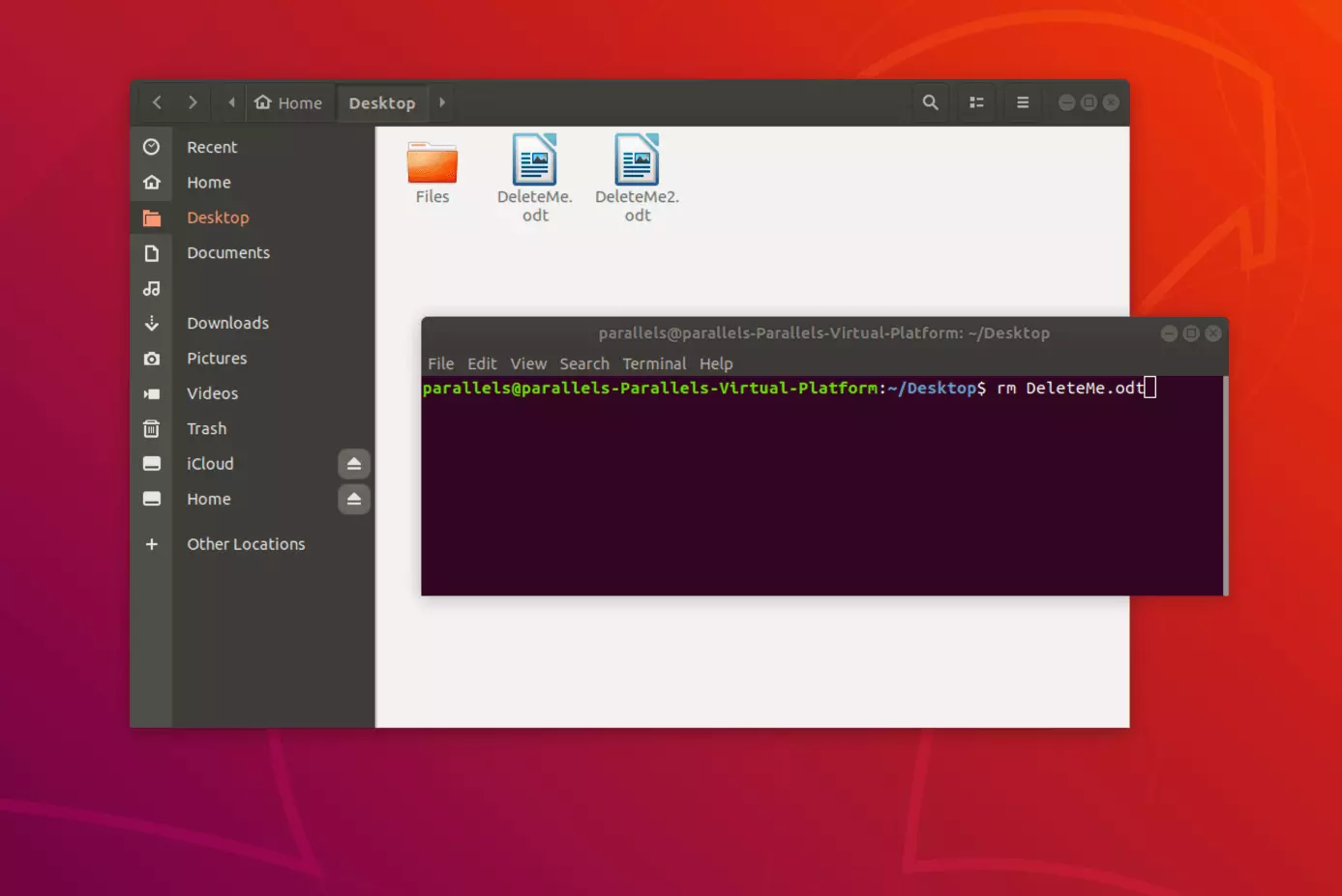 Immagine: Cancellare più file di Linux dal terminale