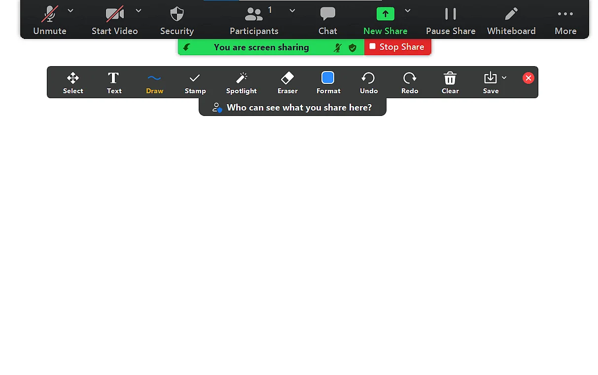 Lavagna di Zoom vuota con opzioni per disegnare Immagine: Lavagna di Zoom vuota con opzioni per disegnare