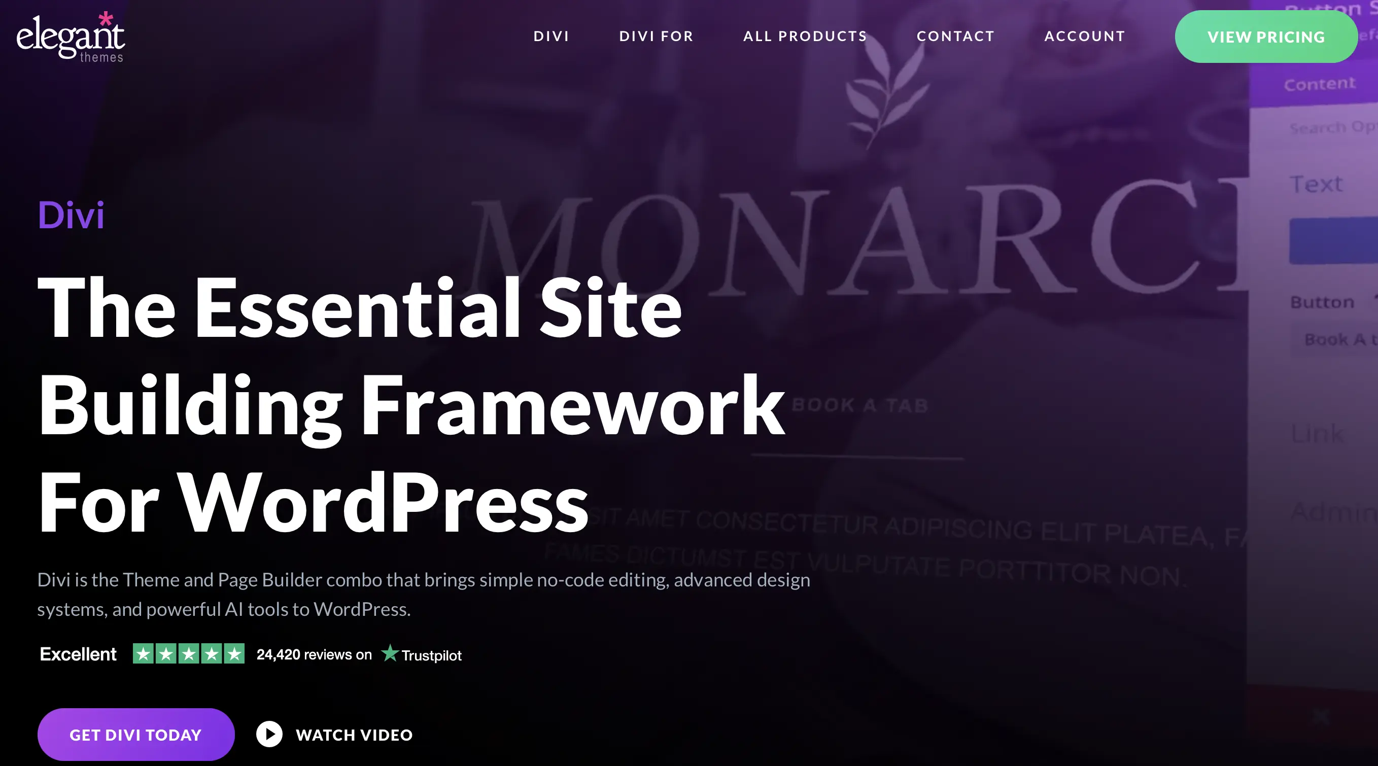 Homepage dello sviluppatore di Divi (Elegant Themes) Immagine: Homepage dello sviluppatore di Divi (Elegant Themes)