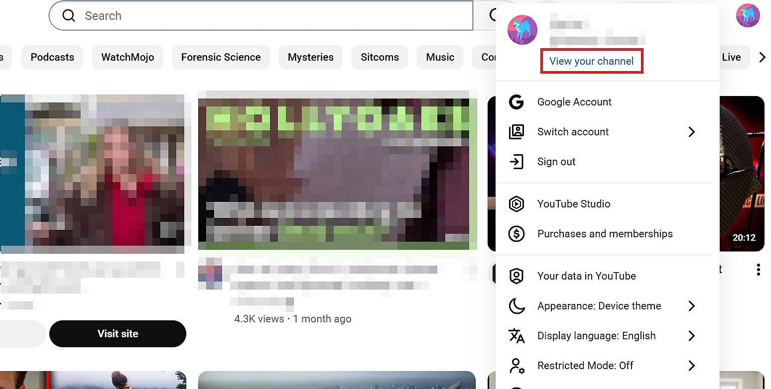 Pulsante “Visualizza il tuo canale” nelle impostazioni di YouTube Immagine: Pulsante “Visualizza il tuo canale” nelle impostazioni di YouTube