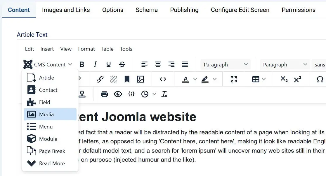 Immagine: Joomla: inserire un&rsquo;immagine nell&rsquo;editor TinyMCE