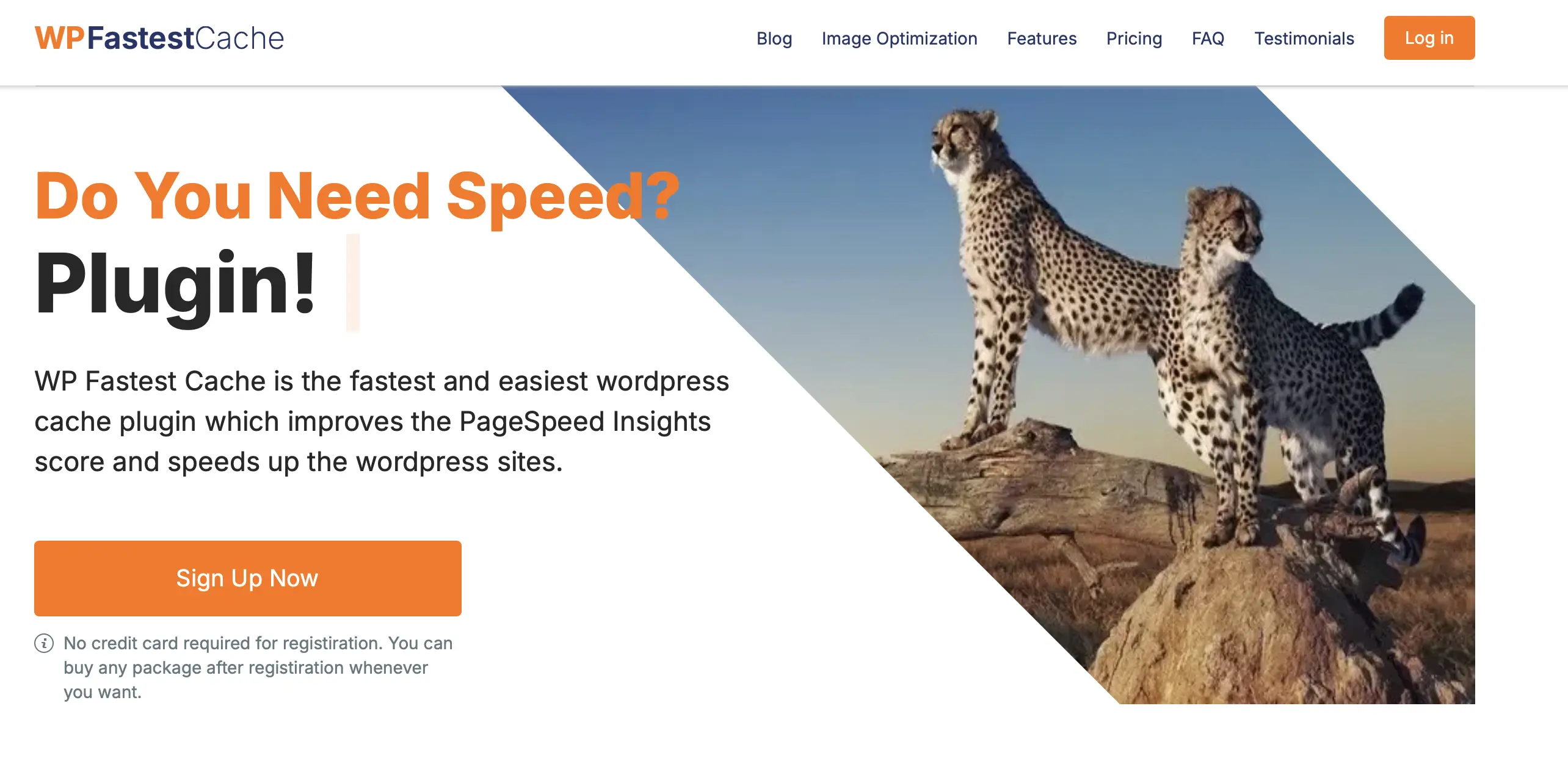 Immagine: Screenshot del sito di WP Fastest Cache