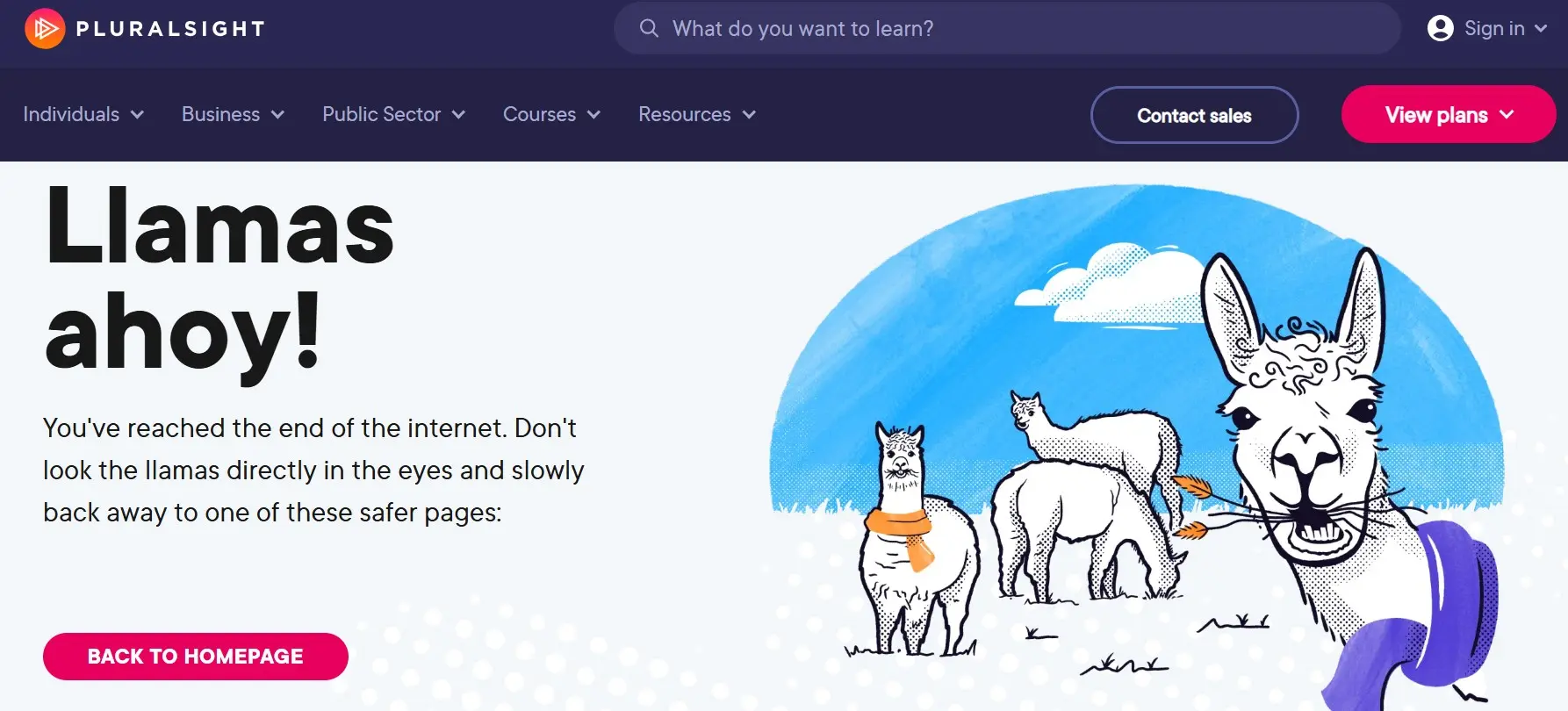 Pagina 404 di Pluralsight Immagine: Pagina 404 di Pluralsight
