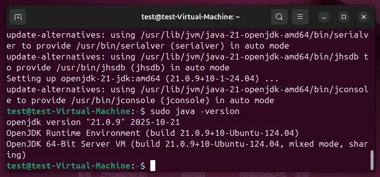 Ubuntu 24.04: controllo della versione di Java nel terminale Immagine: Ubuntu 24.04: controllo della versione di Java nel terminale