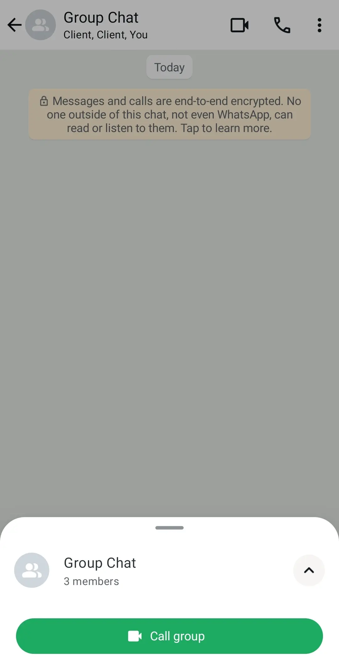 WhatsApp: icona della fotocamera e della cornetta per avviare chiamate in una chat di gruppo Immagine: WhatsApp: icona della fotocamera e della cornetta per avviare chiamate in una chat di gruppo